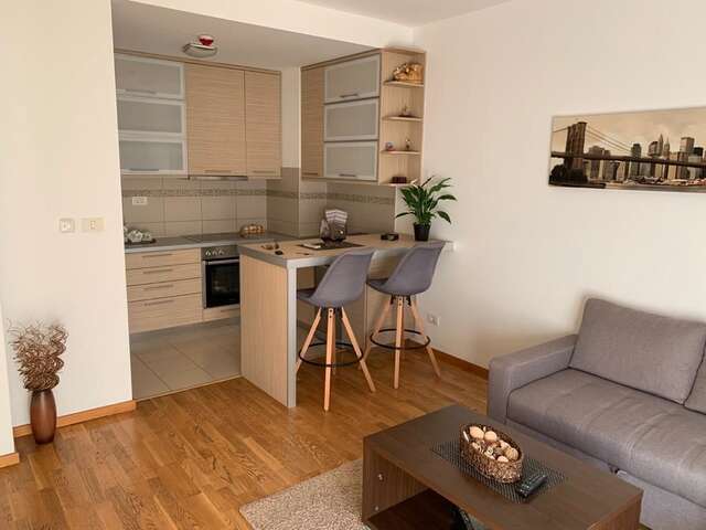 Апартаменты Apartment City Life Подгорица-17